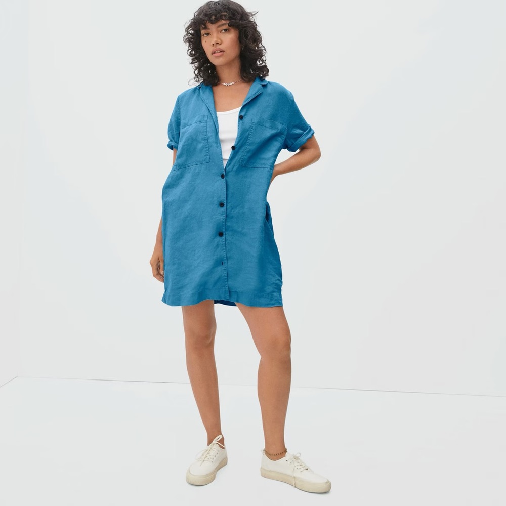 Everlane Blue Button-Front Shirt Dress